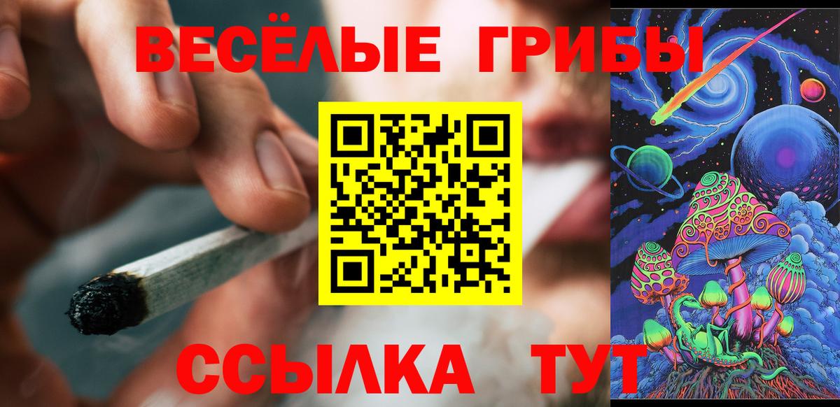 APVP Лангепас